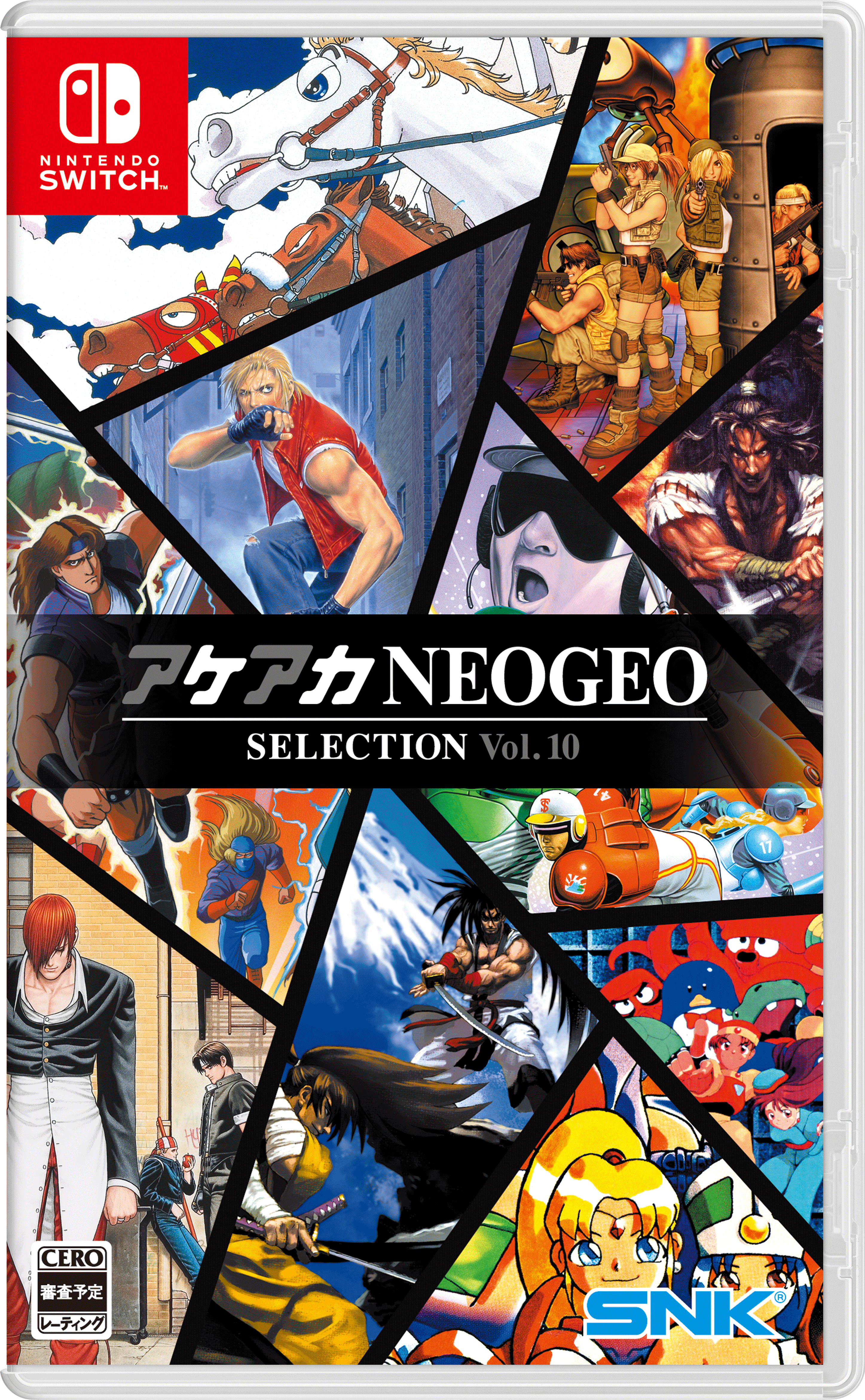 アケアカ NEOGEO vol.10