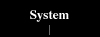 System