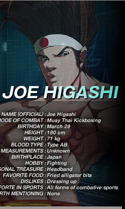 JOE HIGASHI