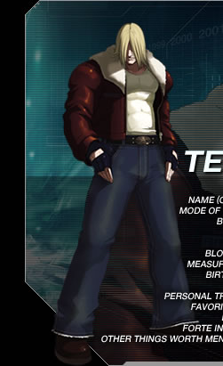 TERRY BOGARD