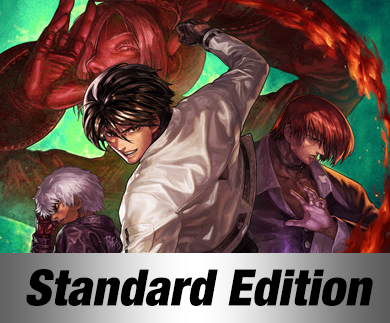 THE KING OF FIGHTERS XIII GLOBAL MATCH Standard Edition, Nintendo Switch  download software, Games